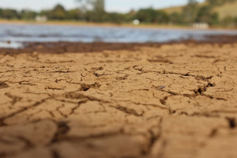 Escassez de água no semiárido nordestino